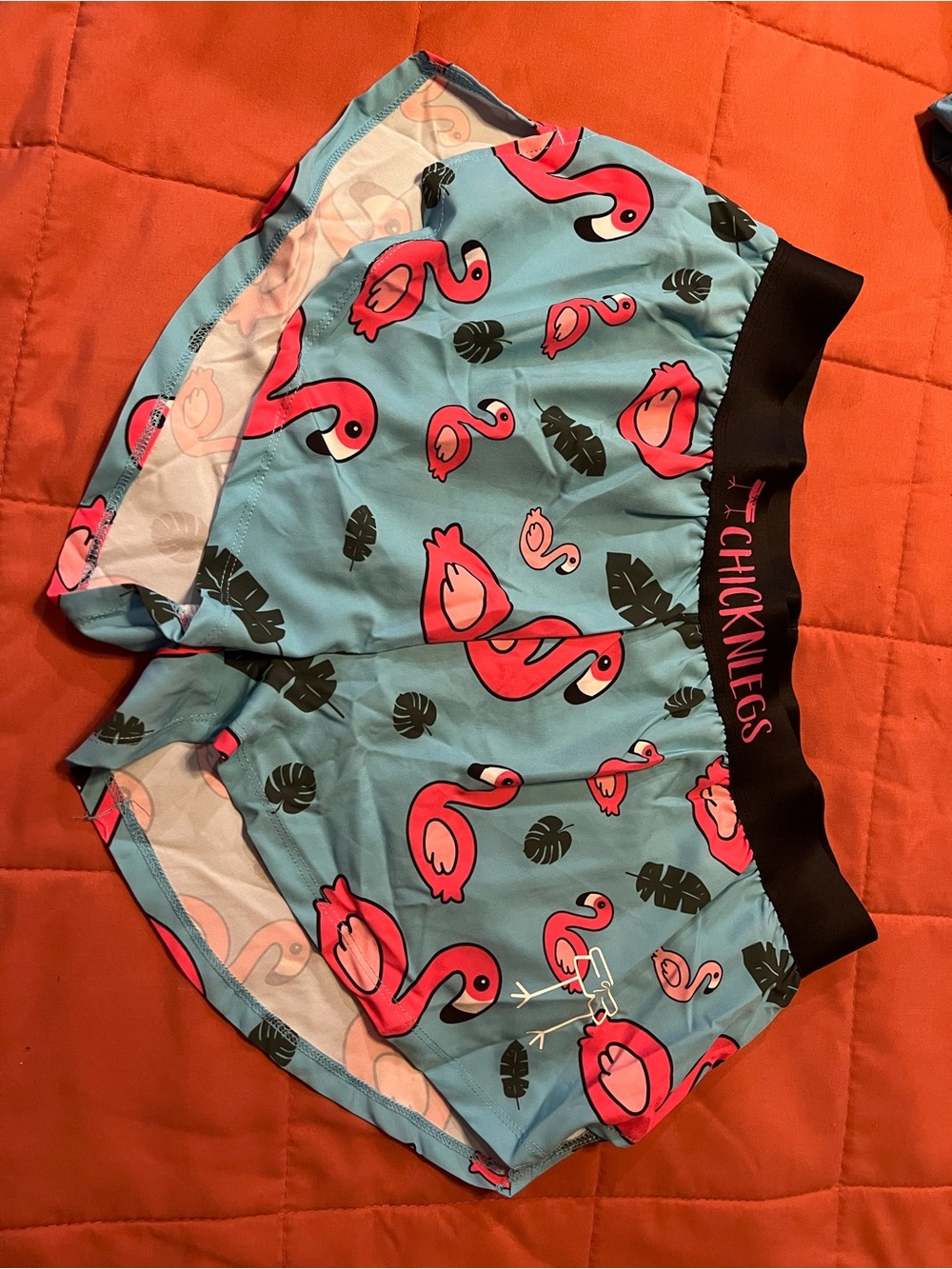 ChicknLegs Flamingo Print Athletic Shorts - Aqua & Pink